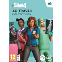 Les Sims 4 Au Travail Occasion