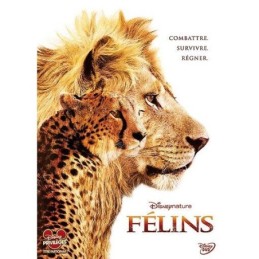 Félins Occasion