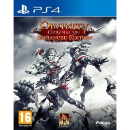 Divinity Original Sin -...