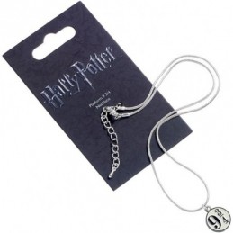 Harry Potter pendentif et...