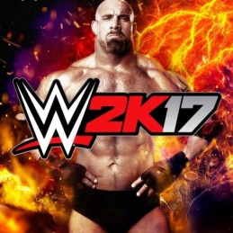 WWE 2K17 Occasion