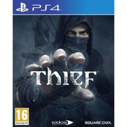 Thief Occasion
