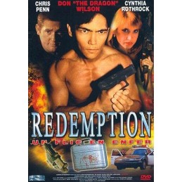 Redemption : Un flic en...