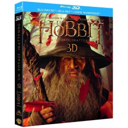 Le Hobbit : Un voyage...
