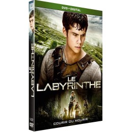 Le Labyrinthe DVD / BLU RAY