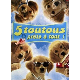 5 toutous prets a tout! DVD...