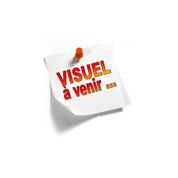DVD PERCY JACKSON LE VOLEUR...