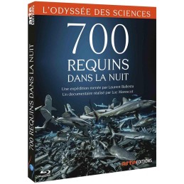 700 REQUINS DANS LA NUIT -...
