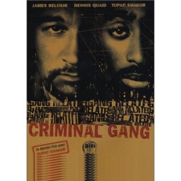 Criminal Gang DVD / BLU RAY