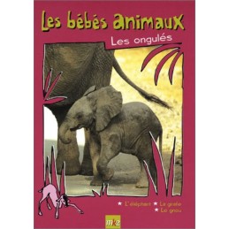 Bébés animaux : Les ongulés...