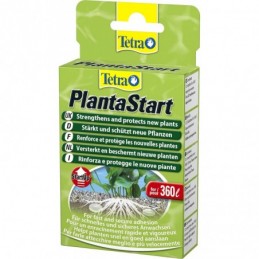 Tetra - 146839 - PlantaStart