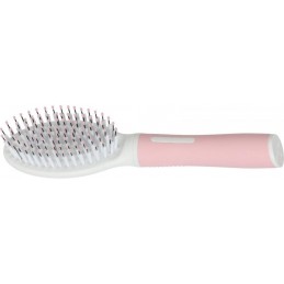 Zolux-Brosse BI matière. 21 cm