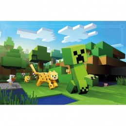 GB eye - MINECRAFT La...