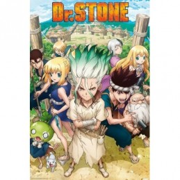 DR STONE - Poster -...