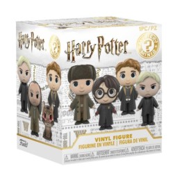 Funko Mystery Mini - Harry...