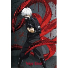 ABYSTYLE - TOKYO GHOUL -...