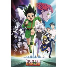 Hunter x Hunter Poster...