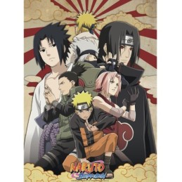 Naruto Shippuden Poster...