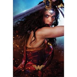 DC Comics Wonder Woman...