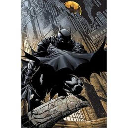 DC Comics Batman (Night...