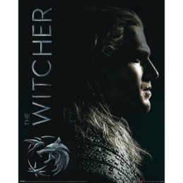 Pyramid Poster The Witcher...