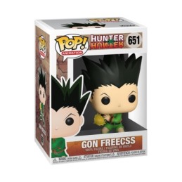 Funko Pop Animation: Hunter...