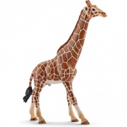 Schleich 14749 Girafe mâle,...