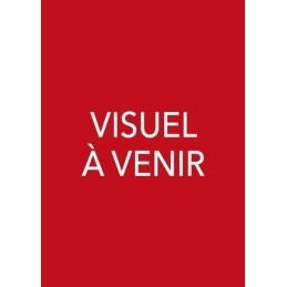 Demon Slayer T01 - Edition...