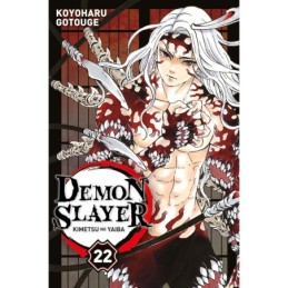 Demon Slayer T22