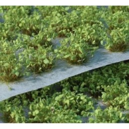 Gamers Grass Green Shrubs...