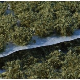 Gamers Grass - Dark Green...