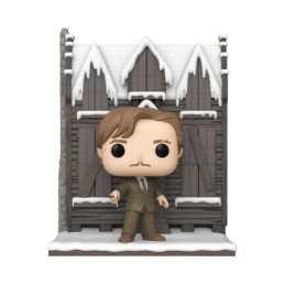 Funko Pop! Deluxe: HP...