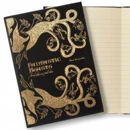 Harry Potter - Carnet...