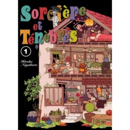 Sorcière et ténèbres T01...
