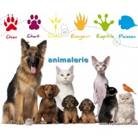 Animalerie